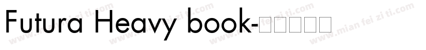 Futura Heavy book字体转换